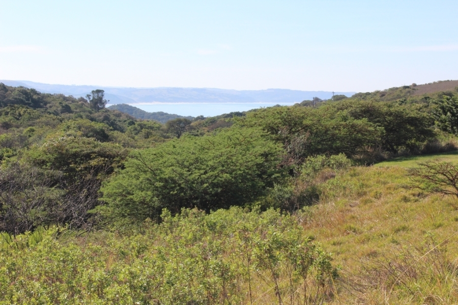 0 Bedroom Property for Sale in Khamanga Bay Eastern Cape
